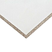 Maderas Daganzo Tablero de melamina (Blanco, 244 cm x 122 cm x 10 mm)