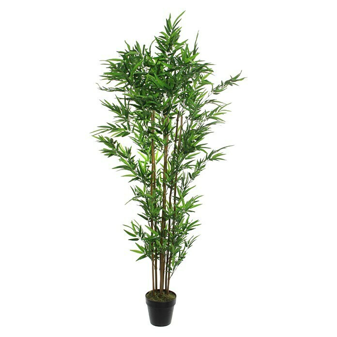 Planta artificial Bambú verde (Altura: 180 cm, Plástico)