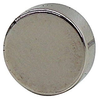 AS Creation Magnet (Okrugli oblik, 10 x 4 mm)