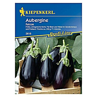 Kiepenkerl Profi-Line Gemüsesamen Aubergine Falcon (Solanum melongena, Erntezeit: Juli - Oktober)