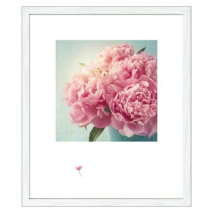 Gerahmtes Bild Scandic Living (Pink Flower, 55 x 65 cm)