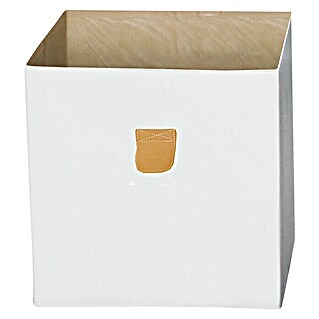 Phönix Aufbewahrungsbox Stor It (L x B x H: 34 x 34 x 34 cm, Polyester-Canvas, Weiß)