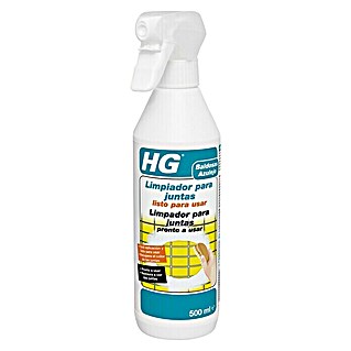HG Limpiador para juntas (500 ml, Bote de rociado)