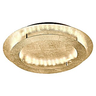 Paul Neuhaus Nevis LED-Deckenleuchte (24 W, Gold, Warmweiß)