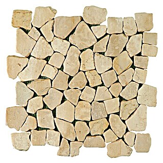 Baldosa de mosaico Rocaplana (30 x 30 cm, Piedra natural, Marfil)
