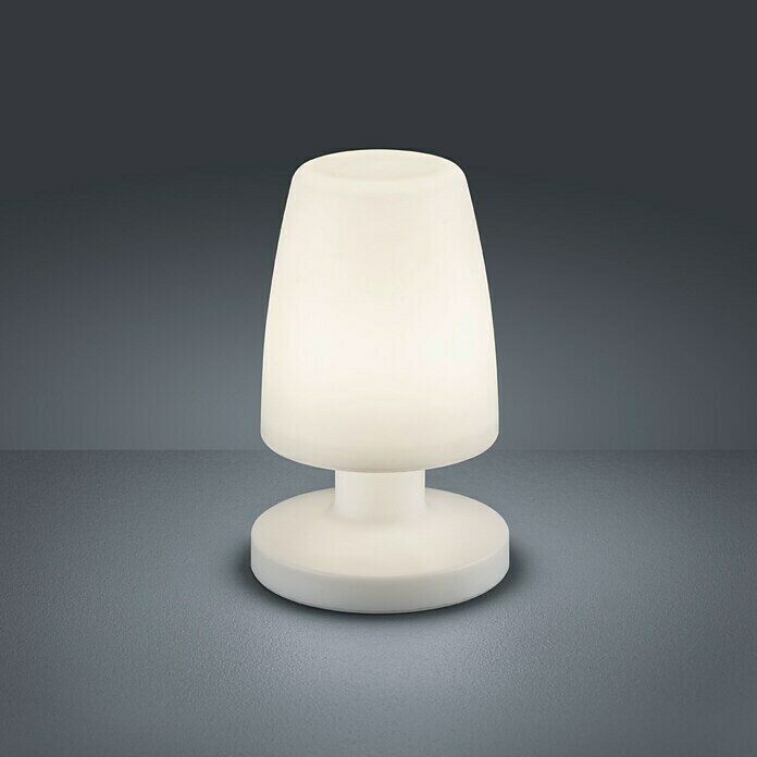 Reality Leuchten LED-Tischleuchte Dora (1,5 W, Weiß, Höhe: 21 cm)