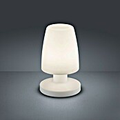 Reality Leuchten LED-Tischleuchte Dora (1,5 W, Weiß, Höhe: 21 cm)