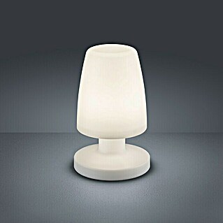 Reality Leuchten Stolna LED svjetiljka Dora (1,5 W, Bijele boje, Visina: 21 cm)