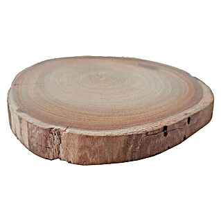 Disco de tronco de madera Mini (Castaño, Sin tratar, Diámetro: 8 cm - 12 cm)