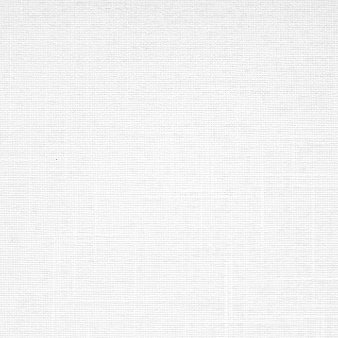 Viewtex Estor enrollable Shape (An x Al: 135 x 250 cm, White, Traslúcido)