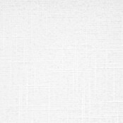 Viewtex Estor enrollable Shape (An x Al: 90 x 250 cm, White, Traslúcido)