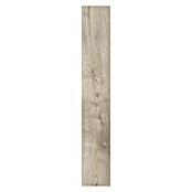 Suelo de vinilo rígido SPC Roble Colorado (1.220 x 180 x 3,5 mm, Efecto madera campestre)