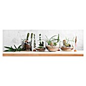 Impresión artística Compo cactees (Pequeños cactus, 97 x 30 cm)
