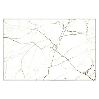 CUCINE Küchenrückwand (White Marble, 60 x 40 cm, Stärke: 6 mm, Einscheibensicherheitsglas (ESG))