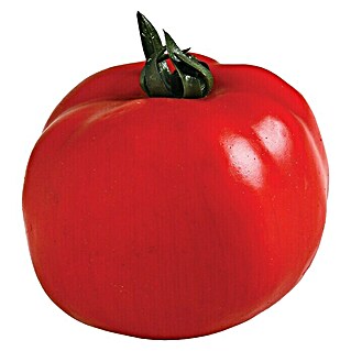 Figura decorativa Tomate rojo (L x An x Al: 7 x 7 x 8 cm, Plástico)