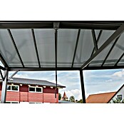Sunfun Pavillon Ibiza Cabrio (L x B: 400 x 300 cm, Anthrazit)