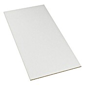 Spanplatte Fixmaß (Weiß, 1.600 x 600 x 10 mm)