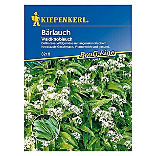 Kiepenkerl Profi-Line Kräutersamen Bärlauch (Allium ursinium, Saatzeit: Januar - März - Oktober - Dezember, Erntezeit: Ganzjährig)