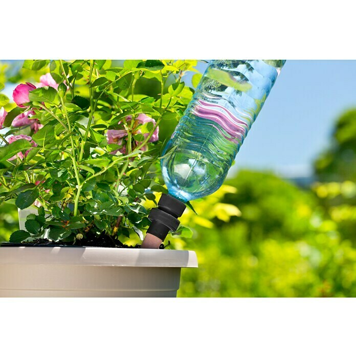 WOVELOT 3 Packungen Pflanzenwasserspender Mit Automatischer Bewaesserungskugel,Vogelform Mundgeblasene Transparente Glas-Wasserball-Lampe 