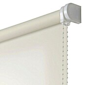 Estor enrollable Roll-up  (An x Al: 160 x 180 cm, Blanco, Traslúcido)