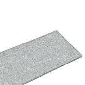 Resopal Küchenarbeitsplatte nach Maß (Grey Granit, Max. Zuschnittsmaß: 305 cm, Breite: 60 cm, Stärke: 3,8 cm)
