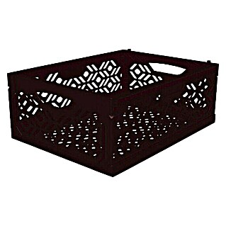 Caja plegable Midi (L x An x Al: 39,5 x 29,5 x 15,4 cm, Negro)