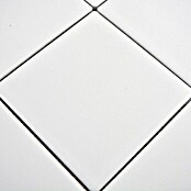 Mosaikfliese Quadrat Uni CQ 105 (29,8 x 29,8 cm, Weiß, Matt)