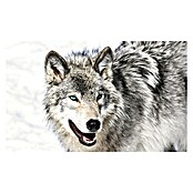Fototapete Wolf-Tier (312 x 219 cm, Vlies)