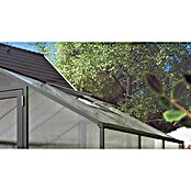 KGT Dachfenster (62 x 102 x 5 cm, Metall, Anthrazitgrau, Passend für: KGT Gewächshäuser Tulpe)