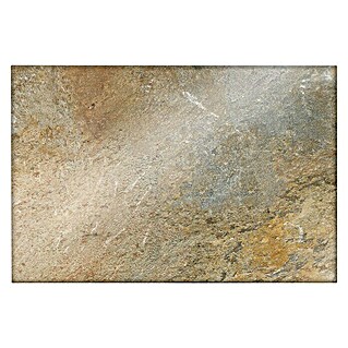 CUCINE Küchenrückwand (Golden Marble, 60 x 40 cm, Stärke: 6 mm, Einscheibensicherheitsglas (ESG))