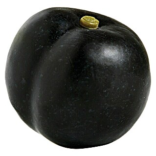 Figura decorativa Ciruela negra (L x An x Al: 5,5 x 5,5 x 6 cm, Plástico)