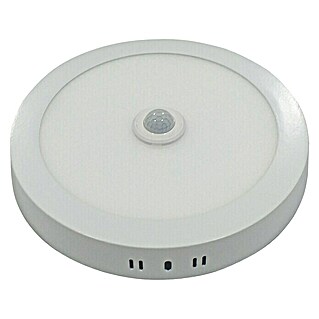 Plafón LED redondo con sensor luz fría (20 W, Ø x Al: 22 x 4 cm, Blanco frío)