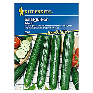 Kiepenkerl Profi-Line Gemüsesamen Gurke Saladin F1 (Cucumis sativus, Erntezeit: Juni - September)