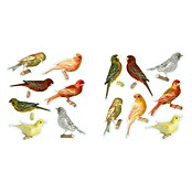 Dekosticker XXS (Vögel, 11 x 10,5 cm)