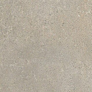 Feinsteinzeugfliese Beton (60 x 60 cm, Grau, Matt)