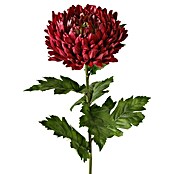 Kunstpflanze Chrysantheme (Höhe: 75 cm, Kunststoff)