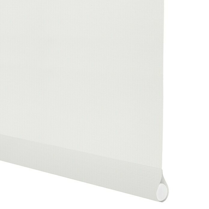 Viewtex Estor enrollable Ecofuture (An x Al: 135 x 190 cm, Blanco, Traslúcido)