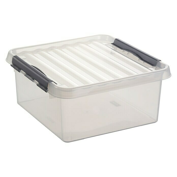Sunware Aufbewahrungsbox Q-Line (L x B x H: 31 x 31 x 16 cm, Kunststoff, Transparent, Farbe Griff: Schwarz)