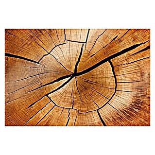 CUCINE Küchenrückwand (Circled Wood, 60 x 40 cm, Stärke: 6 mm, Einscheibensicherheitsglas (ESG))