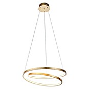 Paul Neuhaus LED viseća svjetiljka Roman (S 1 žaruljom, 30 W, Topla bijela, Promjer: 55 cm)