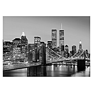 Fotomural Manhattan (An x Al: 366 x 254 cm)