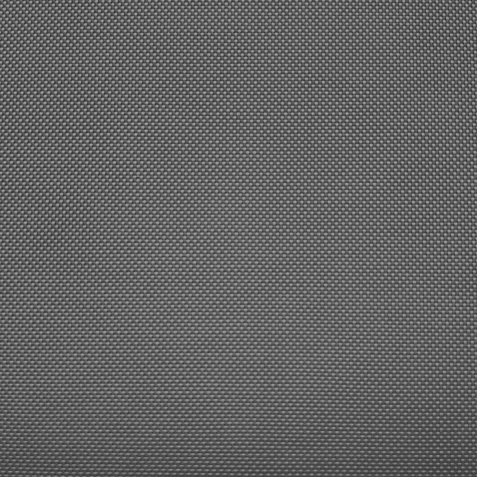 Viewtex Estor enrollable Screen 10% (An x Al: 90 x 250 cm, Gris perla, Traslúcido)