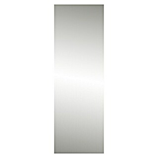 Decowatt Radiador de vidrio por infrarrojos (60 x 180 cm, 1.000 W, Espejo)