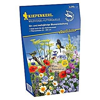 Kiepenkerl Profi-Line Blumensamenmischung (Wildvogel-Futterquelle, Verschiedene Sorten, Blütezeit: Juni - September, 30 m²)