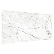 Palram Paneele Carrara  (Grauweiß, 67 x 43 cm)
