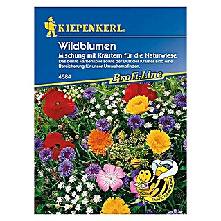 Kiepenkerl Profi-Line Blumensamenmischung Wildblumen (Blütezeit: Juni - Dezember, 2 m² - 3 m²)