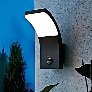Starlux LED-Sensor-Außenwandleuchte Vincenza (7 W, L x B x H: 122 x 84 x 190 mm, Silbergrau, Opal, Warmweiß)