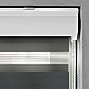 Expo Ambiente Doppelrollo mit Kassette (B x H: 95 x 175 cm, Grau)