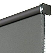 Estor enrollable Roll-up  (An x Al: 80 x 180 cm, Grafito, Opaco)