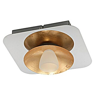 Eglo LED stropna svjetiljka Torano (5,4 W, D x Š x V: 20 x 20 x 8 cm, Zlatne boje, Topla bijela)
